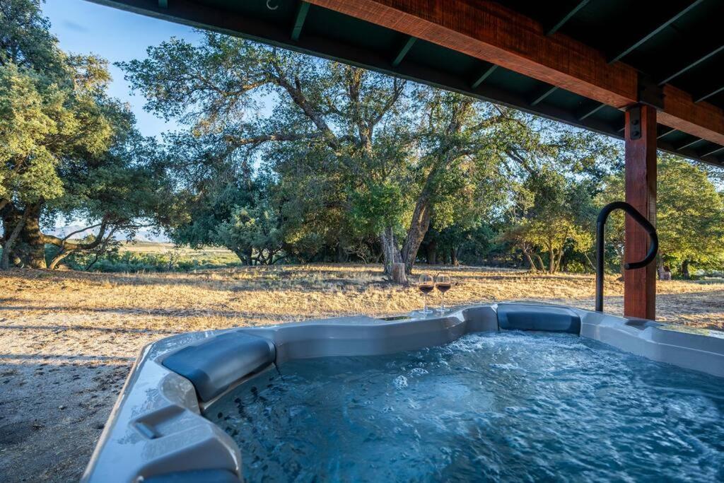 Country Cowboy Hot Tub Hideaway On 20 Acres Villa Borrego Springs Exteriör bild
